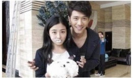 张含韵彭冠英圈内爆料,娱乐圈背后的真实故事